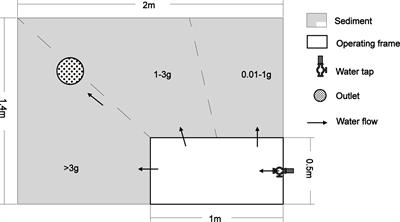 Factors Affecting Burrow Architecture of the Polychaete Perinereis Aibuhitensis